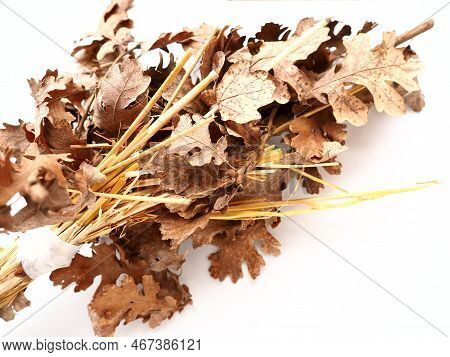 The Badnjak Veseljak Is A Tree Branch Or Entire Tree That Is Central To Serbian Christmas Celebratio