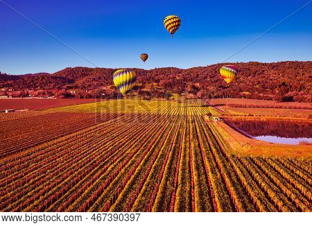 Napa, United States - February 17 2013 : An Aerial View Of Vine Yard Fields In Napa During A Hot Air