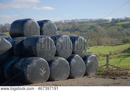 Stack Of Black Plastic Wrapped Hay Bales, Also Known As Haylage, With Copy Space To The Right Hand S
