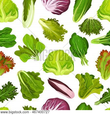 Fresh Salad Leaves Seamless Pattern Design With Green Vegetables Vector Template
