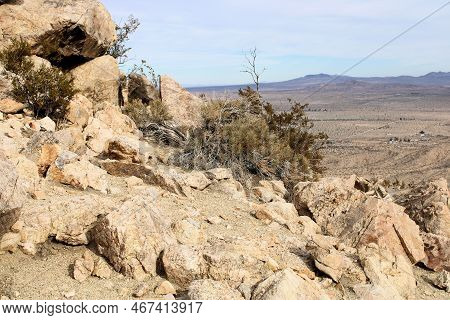 Mountain Ridge Covered With Ancient Volcanic Rocks And Creosote Shrubs Overlooking The Vast Desert P
