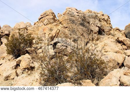 Creosote Shrubs On Granite Rocks On The High Desert Plateau Taken At A Natural Butte In The Rural Mo