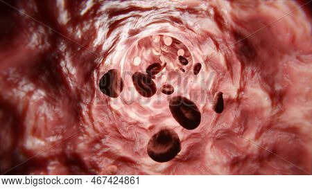 Red Blood Cell Body Erythrocyte, Saturation Of The Human Body With Oxygen. Movement Of Erythrocyte C