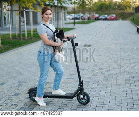 A Woman Rides An Electric Scooter With A Dog In A Backpack. Pappilion Spaniel Continental In A Sling