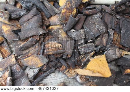 Pieces Of Dried Banana Peels, Used For Plant Fertilizer.