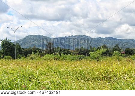Empty Land Overgrown With Weeds At The Crossroads, With Mountains Or Hills As The Background Of The 