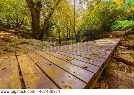 View Of Rocks, Trees, Water Stream, Fall Foliage, Footbridge, And Trail Marks, In The Amud Stream Na