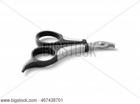 Tool For Clipping Claws Of Animals On A White Background. Scissors For Cutting Claws For Pets On Iso