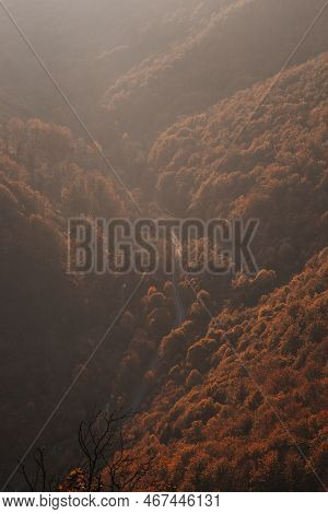Red And Orange Warm Sun Illuminates The Orange-red Forest. Mojtin, Strazov Mountains, Slovakia, East