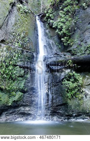 Maple Falls At The Forest Of Nisene Marks State Park. Aptos, Santa Cruz County, California, Usa.