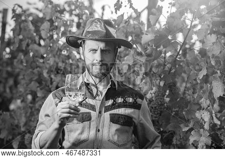 Mature Enologist Man In Hat Hold Wine Glass At Winery Outdoor, Sommelier