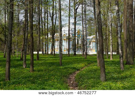 Pavilion In Catherine`s Park In Tsarskoe Selo Through The Woods