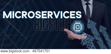 Conceptual Caption Microservices. Conceptual Photo Software Development Technique Building Single Fu