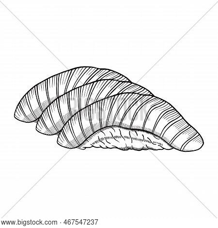 Maguro Tuna Dish Japan Or Japanese Traditional Food Doodle Hand Drawn Sketch With Outline Style Vect