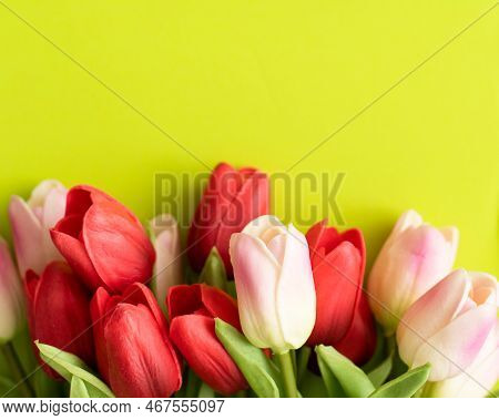 Easter Eggs And Tulips On Light Green Background