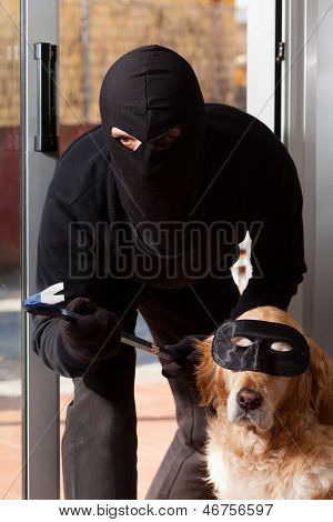 Thief Stealing His Accomplice
