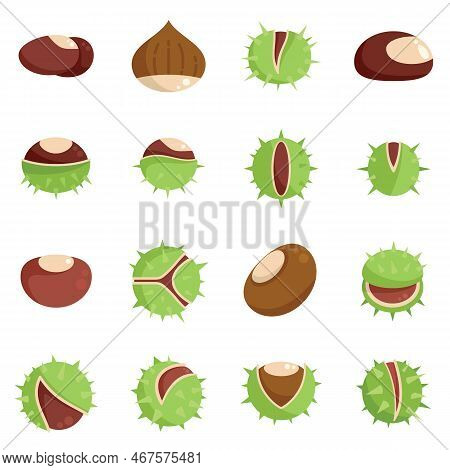 Chestnut Icons Set Flat Vector. Horse Food. Autumn Tree Isolated