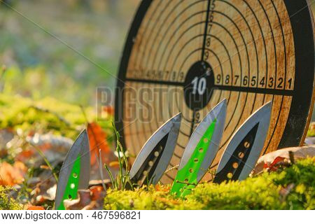 Throwing Knives And A Round Target For Throwing In A Sunny Forest.sport And Hobby. Metal Knives For 