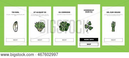 Salad Food Healthy Green Fresh Onboarding Mobile Vector. Vegetable Bowl, Meal Lunch, Dish Dinner, Le