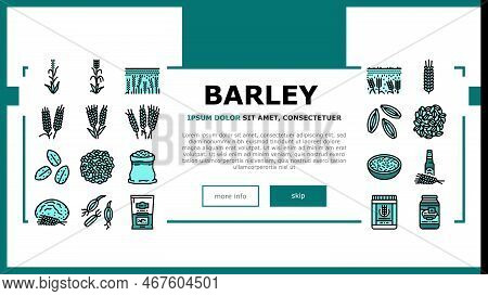 Barley Cereal Grain Harvest Landing Web Page Vector. Agriculture Food, Wheat Crop, Seed Bread, Organ