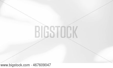 Abtract Overlay Shadow Leaves On Grey Cement Background,texture Surface Design Vintage Styles Backdr