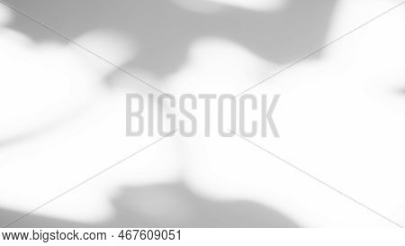 Abtract Overlay Shadow Leaves On Grey Cement Background,texture Surface Design Vintage Styles Backdr