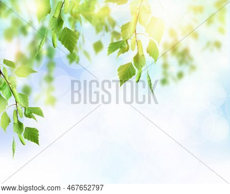 Spring Summer Season. Purity Freshness Nature, Organic, Ecological Life. Beautiful Nature Scene. Cop