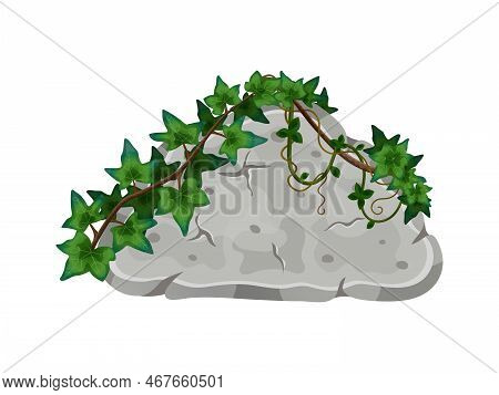 Tropical Jungle Lianas Composition With Image Of Stone Covered By Wild Liana Vector Illustration