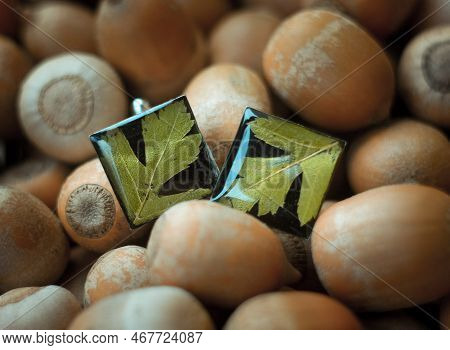 Close Up Craft Earrings With Parsley Leaves Concept Photo. Front View Photography With Hazelnuts On 