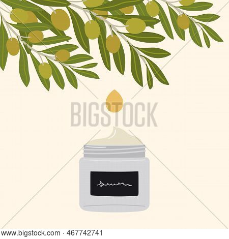 Olive Oil Drop Falls From Olive Branches To Organic Cream In Glass Recycling Jar. Hand Draw Vector I