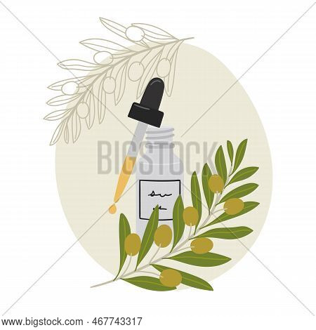 Composition With Organic Cosmetic Products In Bottle For Skin Care With Abstract Shape And Olive Bra
