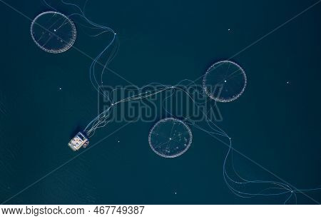 Fish Farm Salmon Round Nets In Natural Environment Loch Fyne Arygll And Bute Scotland