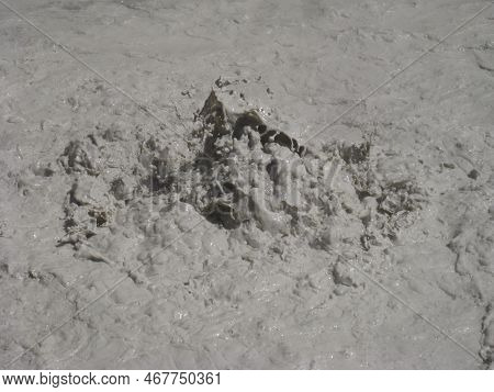 Mud Pot Bubbling Close At Hydrothermal Are