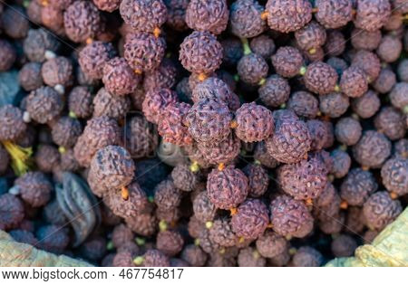 Top View Of Rudraksh Bead Pile With Selective Focus In Horizontal Orientation