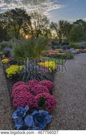 Mums And Fall Flowers Fill The Garden Borders At Cantigny Gardens, Dupage County, Il