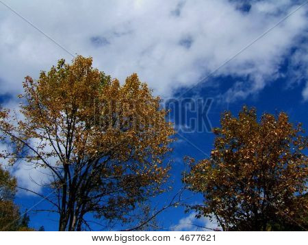 Blå himmel