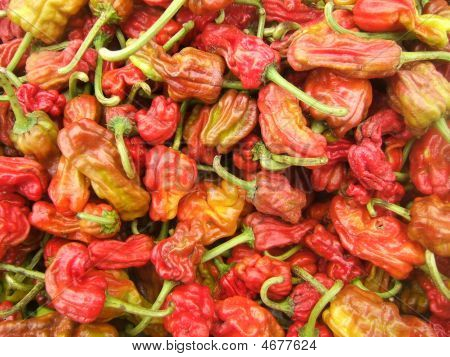 Naturlige røde Chillis