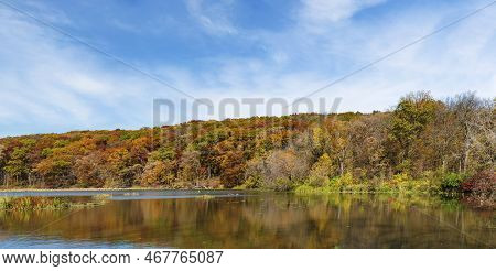 Autumn Forest Along The Desplaines River, Will County, Illinois
