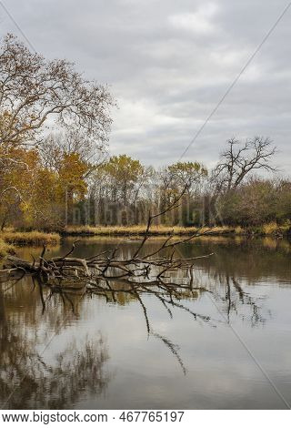 A Storm Clearing Gray Sky Hangs Over The Dupage River At Hammel Woods Forest Preserve In Will County