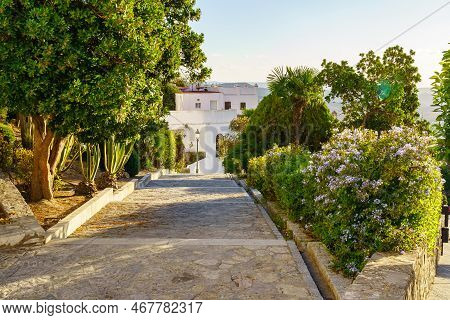 Arab Gardens With Streets To Stroll In The Beautiful White Village Of Medina Sidonia, Cadiz.