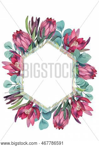 Hand Painted Watercolor Magenta Protea Flowers And Eucalyptus Frame With Golden Line