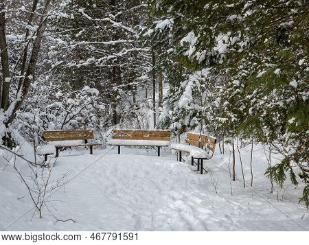 Nice Winter Landscape In The Estrie Region Of Quebec, Canada