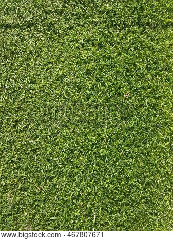 Close Up. Background Of Artificial Green Grass.
