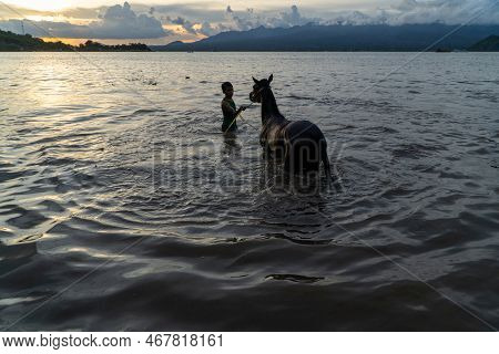 At Sunset, A Silhouettes Of Horse Jockey Cleaning Racehorses On Lariti Beach, Bima District, West Nu