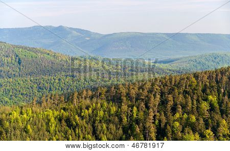 Vista delle montagne dei Vosgi In Alsazia - Francia