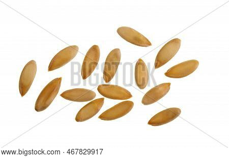 Seeds From The Rockmelon Or Cantaloupe Melon, Cucumis Melo, A Medium To Large Size Fruit.