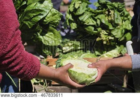 Detail Of A Stand Of Organic Agroecological Vegetables, Two Unrecognizable People Passing Each Other
