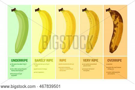 Banana Flat Set With Infographic Compositions Of Text Captions And Images Showing Ripeness Levels Of