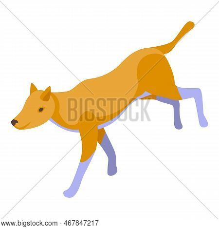 Wild Dog Mammal Icon Isometric Vector. Animal Wildlife. Canine Breed