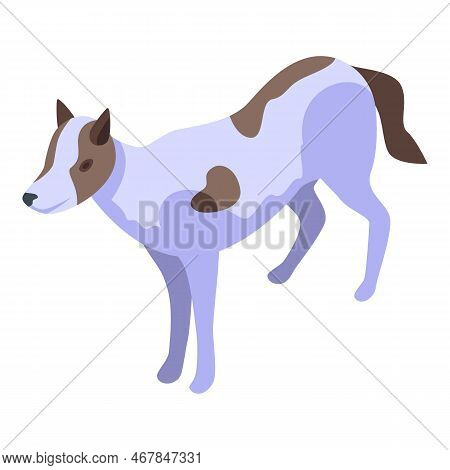 Africa Wild Dog Icon Isometric Vector. Animal Mammal. Safari Nature
